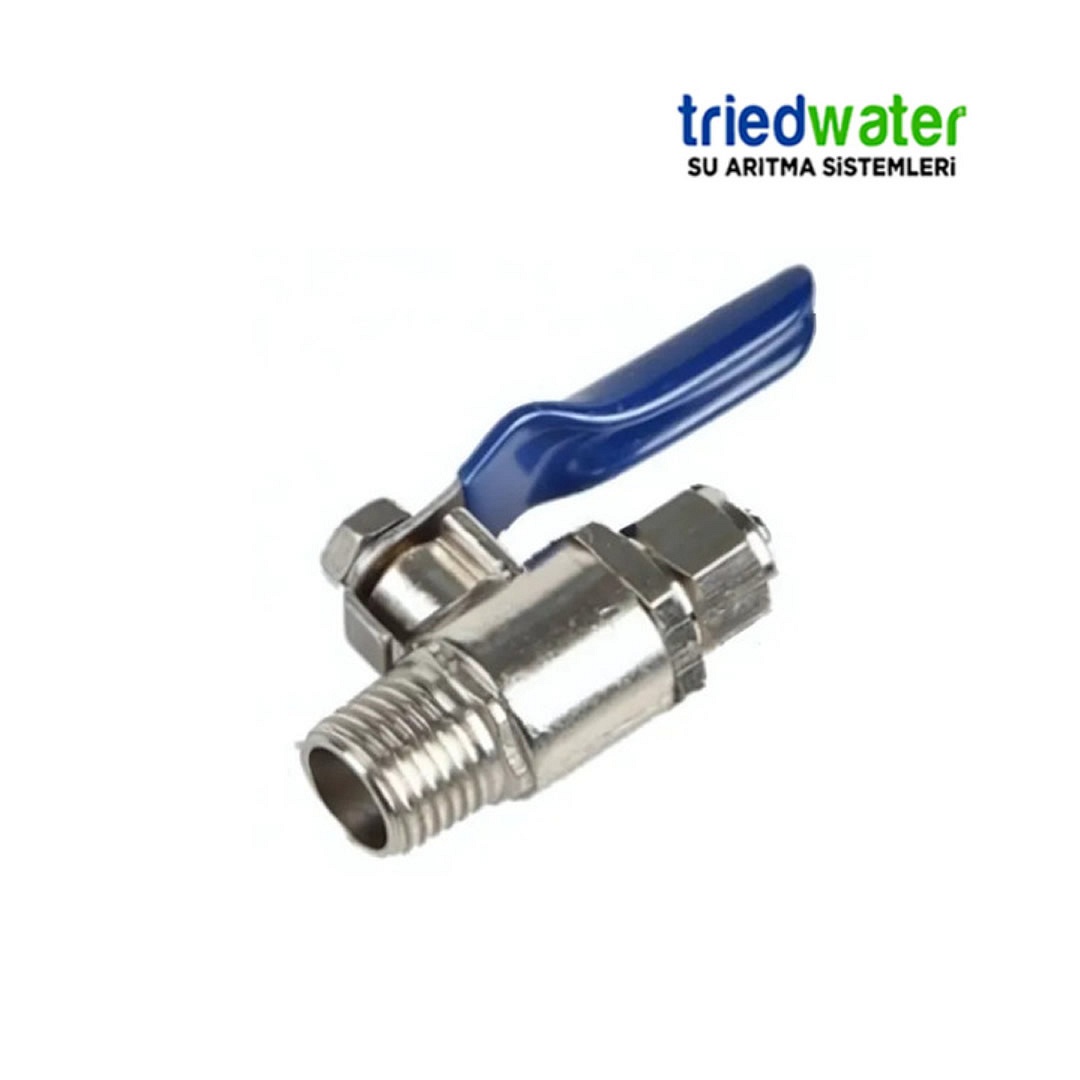 HAT ALMA VANASI- KÜRESEL VANA